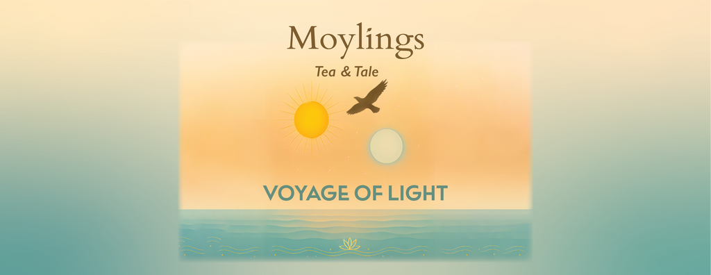 Organic Voyage of Light Tea