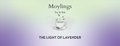 Tea & Tale Collection - The Light of Lavender