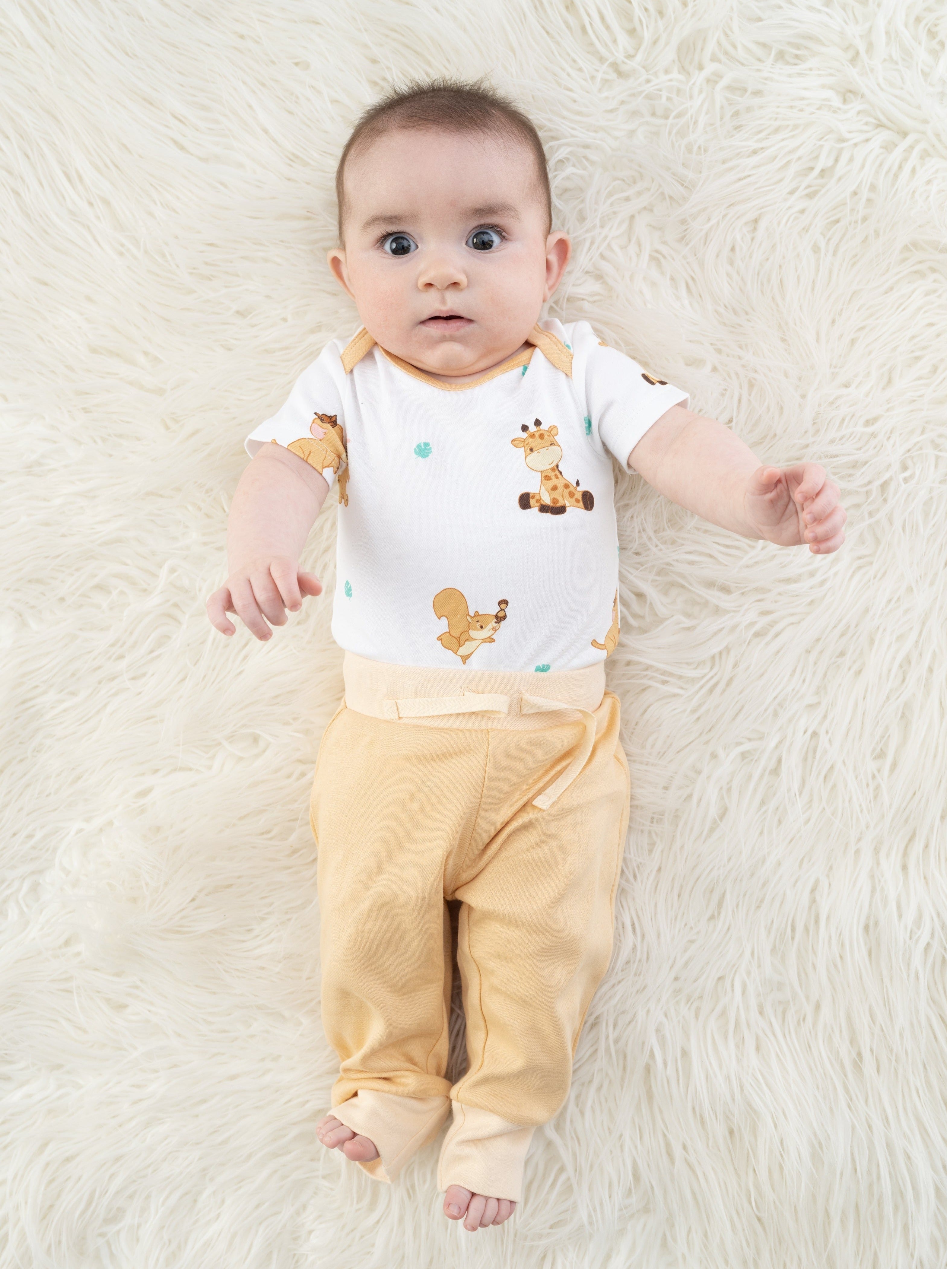 Organic Cotton Joy Bodysuit - The Animal Kingdom
